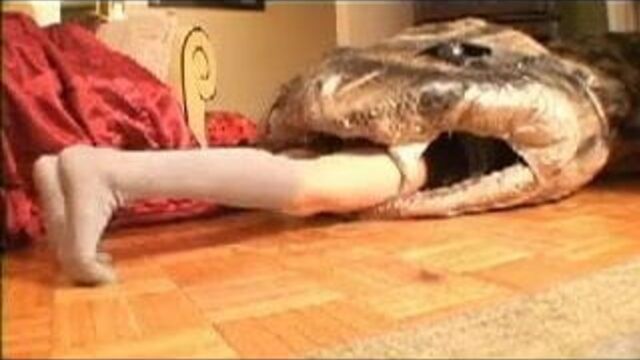 Anaconda мечтает