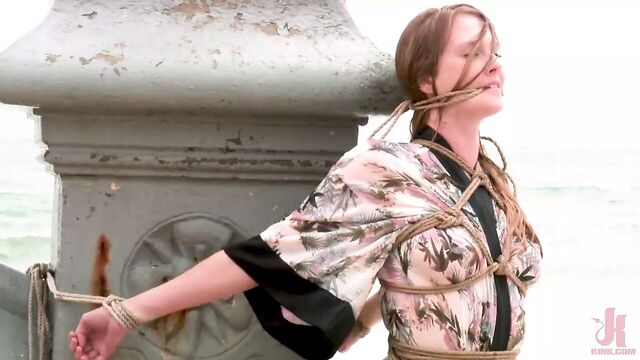 Ashley Lane растоптала толпа слюнявых незнакомцев, т. Е.