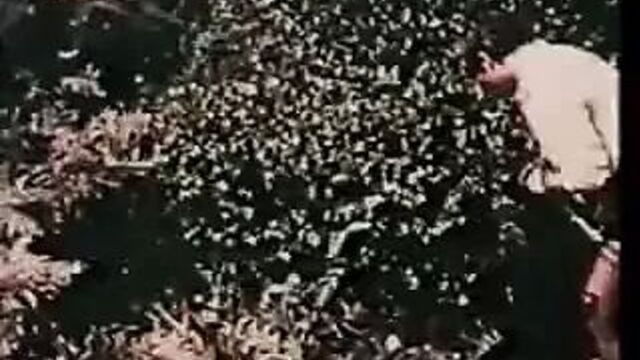 Не бойся обнажаться - обнажение в ретро видео