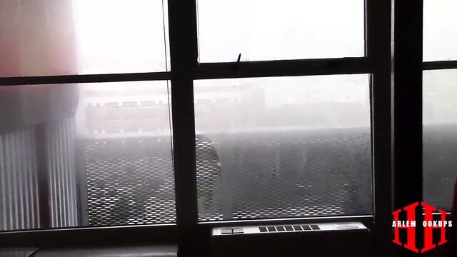 Не мой зять 10