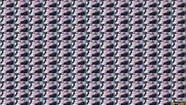 Гэнгбэнг с толстушками