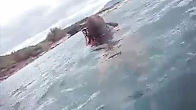 Nipslip - девушка, ныряющая случайно, выставила на показ ее потрясающие сиськи