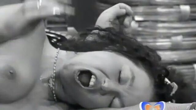 Возбужденные волны тепла (1989), введение, винтажpornbay.com