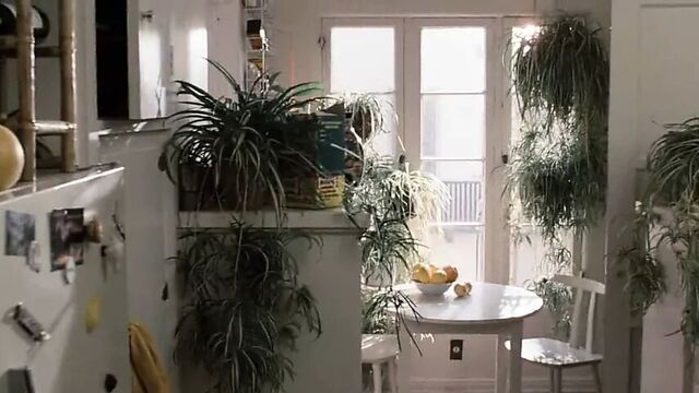 Сцена измены 33 - двойное тело.1984