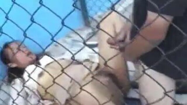 Мексиканское порно Тарде де Доминго