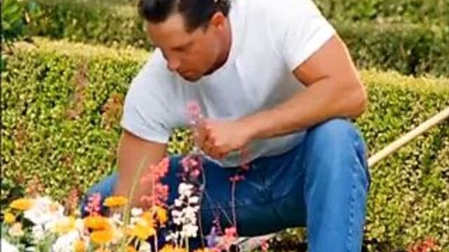 Playboy мокрый и дикий ix