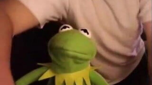 Kermit смотрит порно