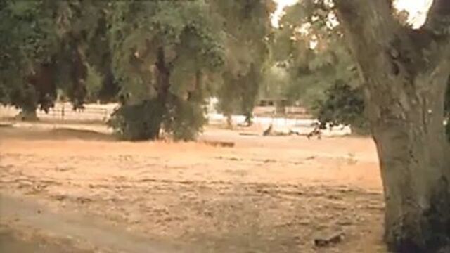 Gabrielle Anwar - 9 десятых