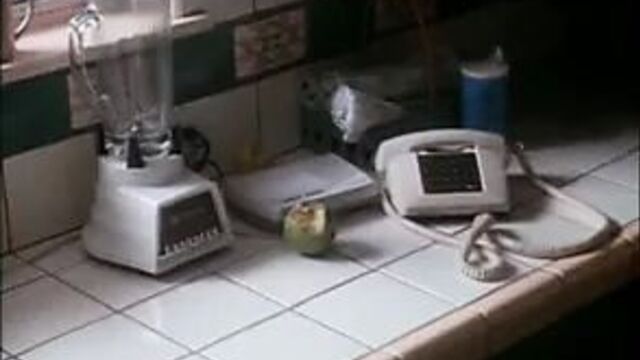 Joan Severrance - Незаконное поведение