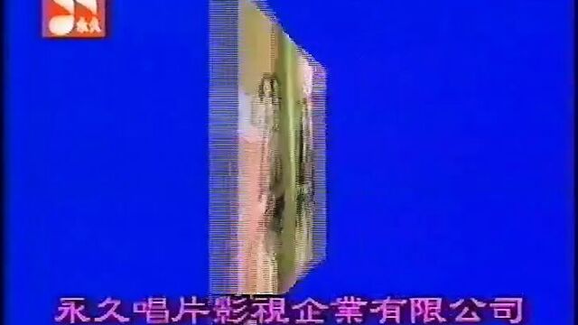 Тайваньское шоу сексуального нижнего белья 01