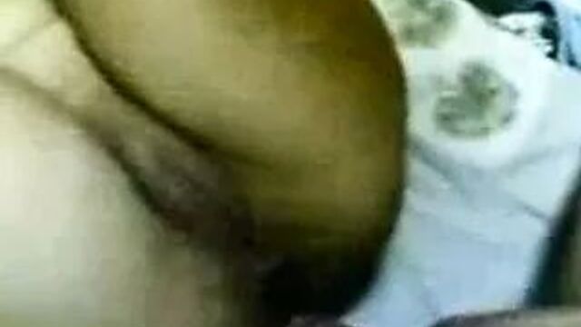 Малайский буритский кетат