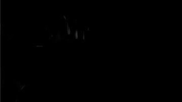 Искусство камшота