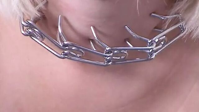 Дрессировка немой собаки и унижение