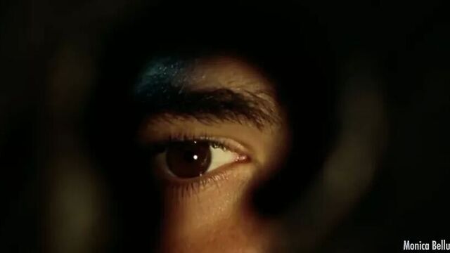 Обнаженные знаменитости - лучшее из Monica Bellucci