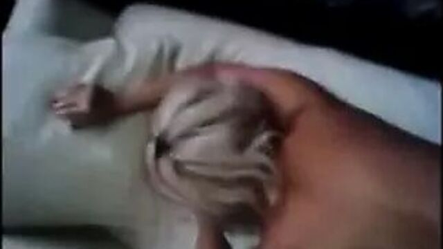 Большой черный тапо парше Se Ebe V Gaza