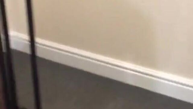 Пришел мой великолепный друг FabShinger