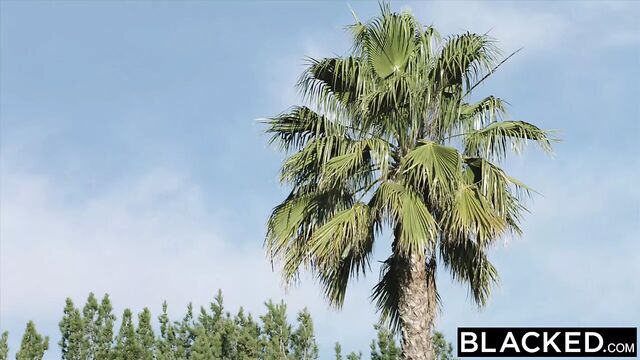 BLACKED крошечная тинка получает большой черный член на 18-й день рождения