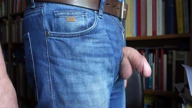 Простая презентация моего пениса, зависания