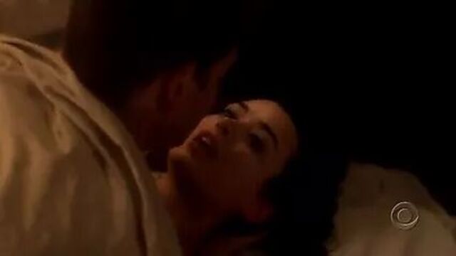 Кот-де-Пабло под одеялом