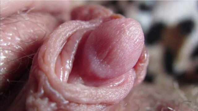 Большой клитор, подборка крупным планом