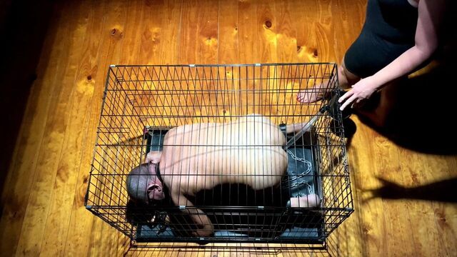 Трейлер фильма госпожи апрель - жизнь у ее ног