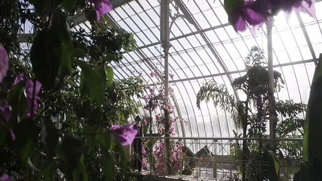 Vita и Virginia (2018) - лесбийская сцена