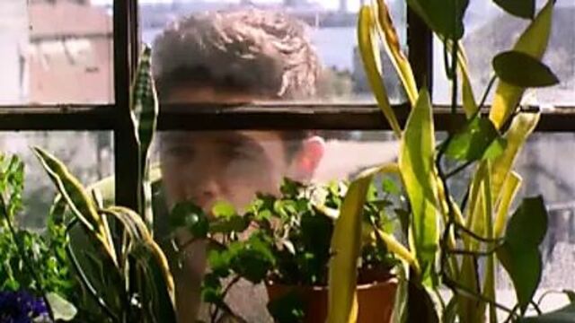 Christina Cox - лучше шоколада