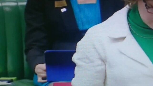 Скрещиваю ноги в нейлоне в Доме комменсов