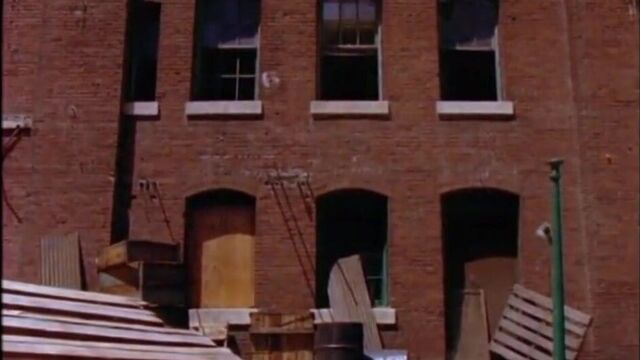 Playboy мокрый и дикий III