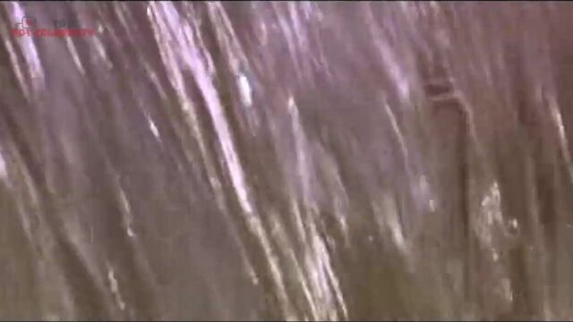 Estella Warren - ее незначительная вещь 2005