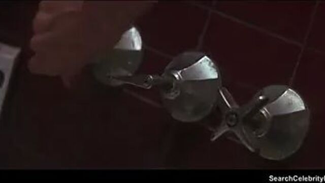 Barbara Hershey обнаженная - сущность