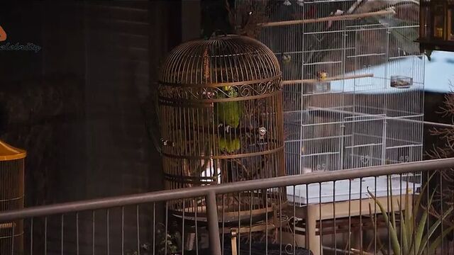 Riki LindHome - под Серебряным озером 2018