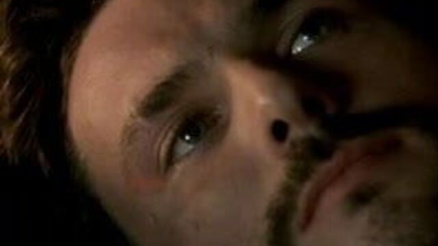 Anne Coesens - Cages