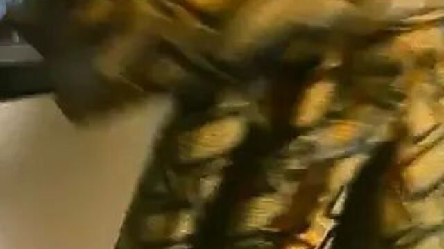 Courteney Cox - Blue Desert