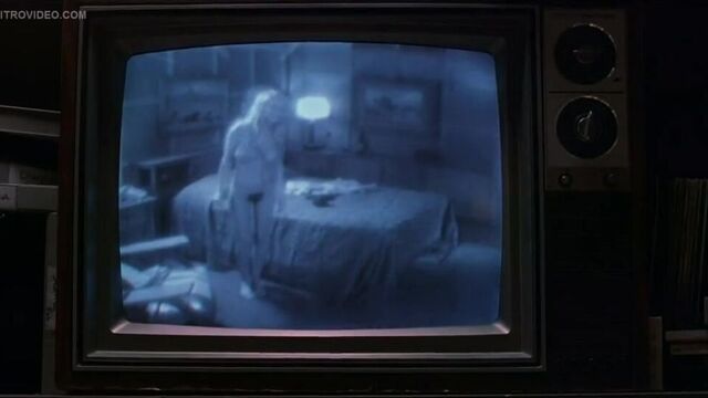 Katie Lohmann - Auto Focus