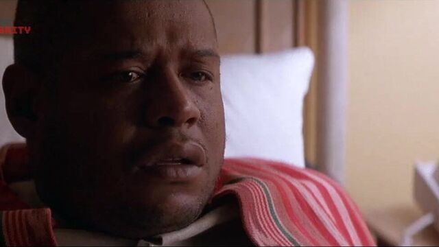 Natasha Henstridge - род 1995