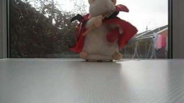 Возбужденный хамастер