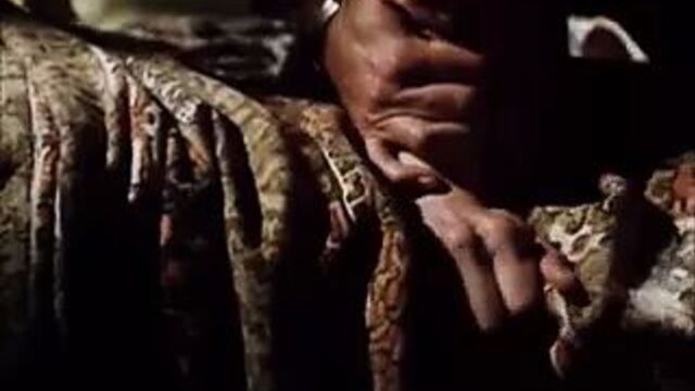 Анальные сцены секса из мейнстримных фильмов и ТВ