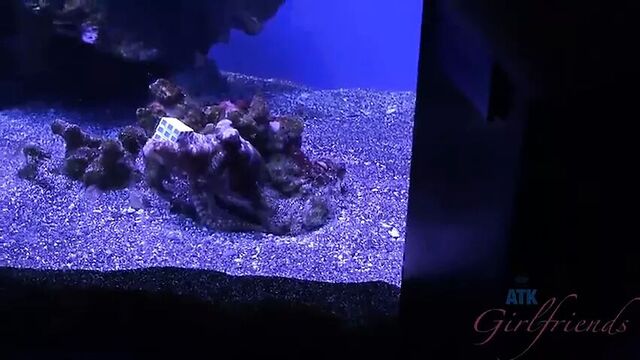 Anya Olsen sure does love creampies