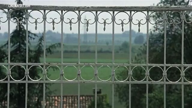 Orchidea de Santis Annie Carol, Edel Francesca Muzio