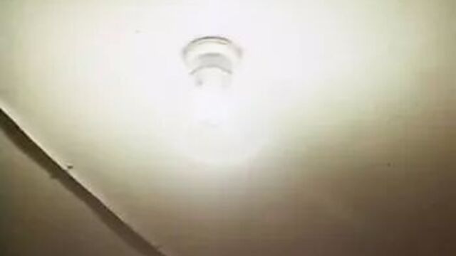 PlayMo Playmate, Дороти Stratten выпороли