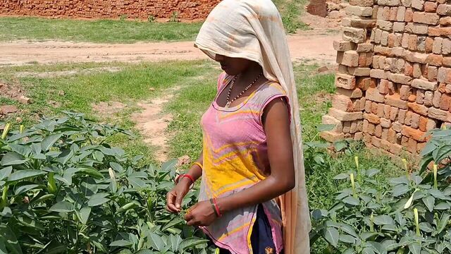 My step sister's outdoor roaming in house taken very fuck full fuk desi romance hindi sexy video x hamaster