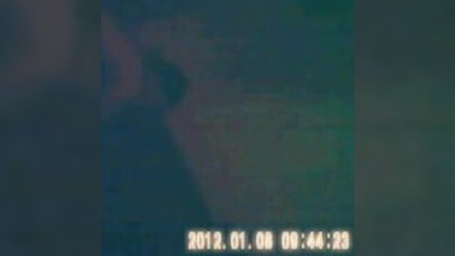 Шлюшка разглядывает Sanford (покраснение, Нью-Йорк)