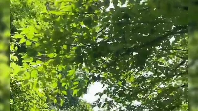 Китайская обнаженная в публичном видео, подборка