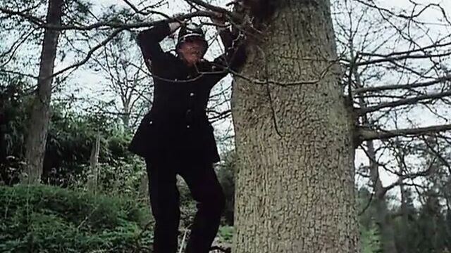 Helli Louise в подъемах и спадах разнорабочего, 1976