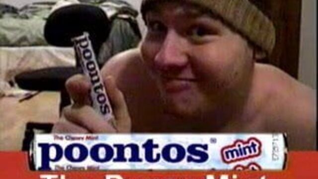 Poontos - киска мята