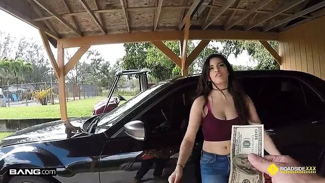 Припаркуй большой грузовик в этом маленьком гараже