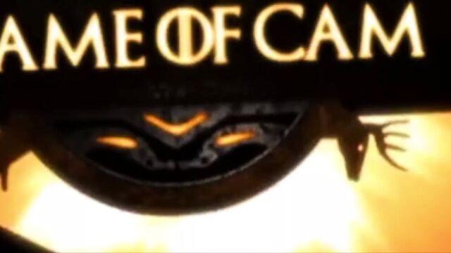 Волосатая черная киска