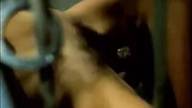 Хардкорная межрасовая сцена-радость (1977)