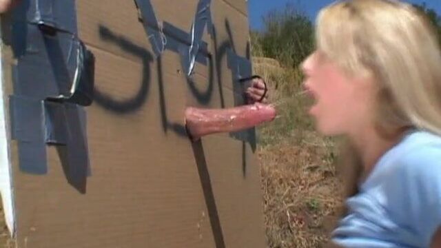 Ciera Sage - мобильный глорихол: 3